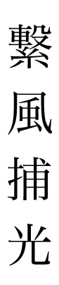 繋風捕光